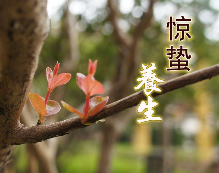 点击图片进入下一页