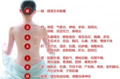 揭身体六“救命”穴位