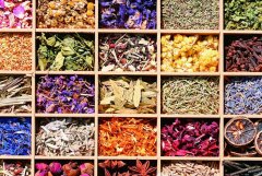 补气补血的中医药材