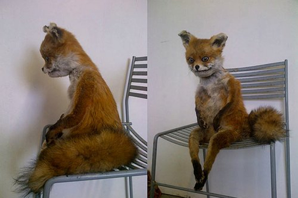 点击图片进入下一页