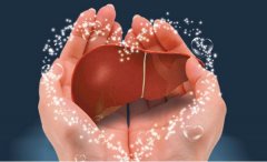 爱肝日 专家提醒远离伤肝9大元凶